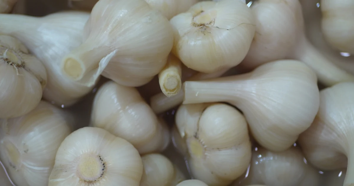 Gousses d'ail fermentées à l'aneth : le condiment santé indispensable